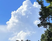 南平天气预报,南平7天天气预报,南平15天天气预报,南平天气查询